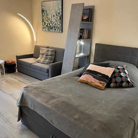Alice Apartment Wackernheim 英格海姆莱茵 外观 照片