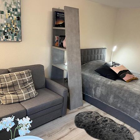 Alice Apartment Wackernheim 英格海姆莱茵 外观 照片