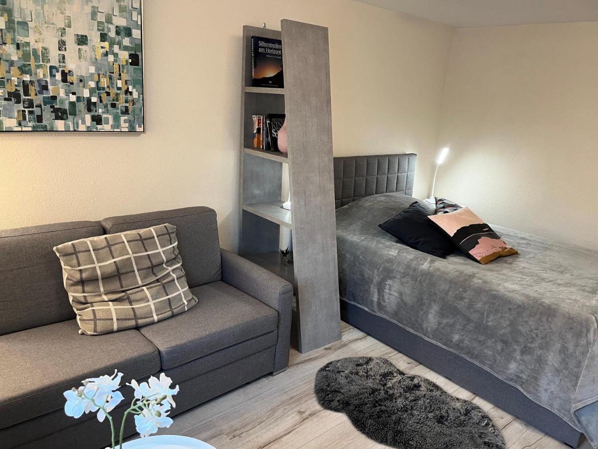Alice Apartment Wackernheim 英格海姆莱茵 外观 照片